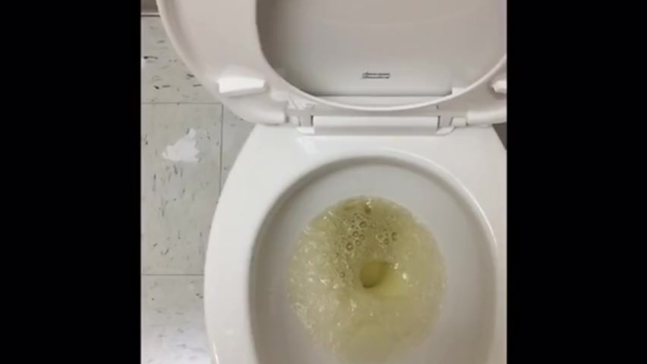 Me pissing at my doctors