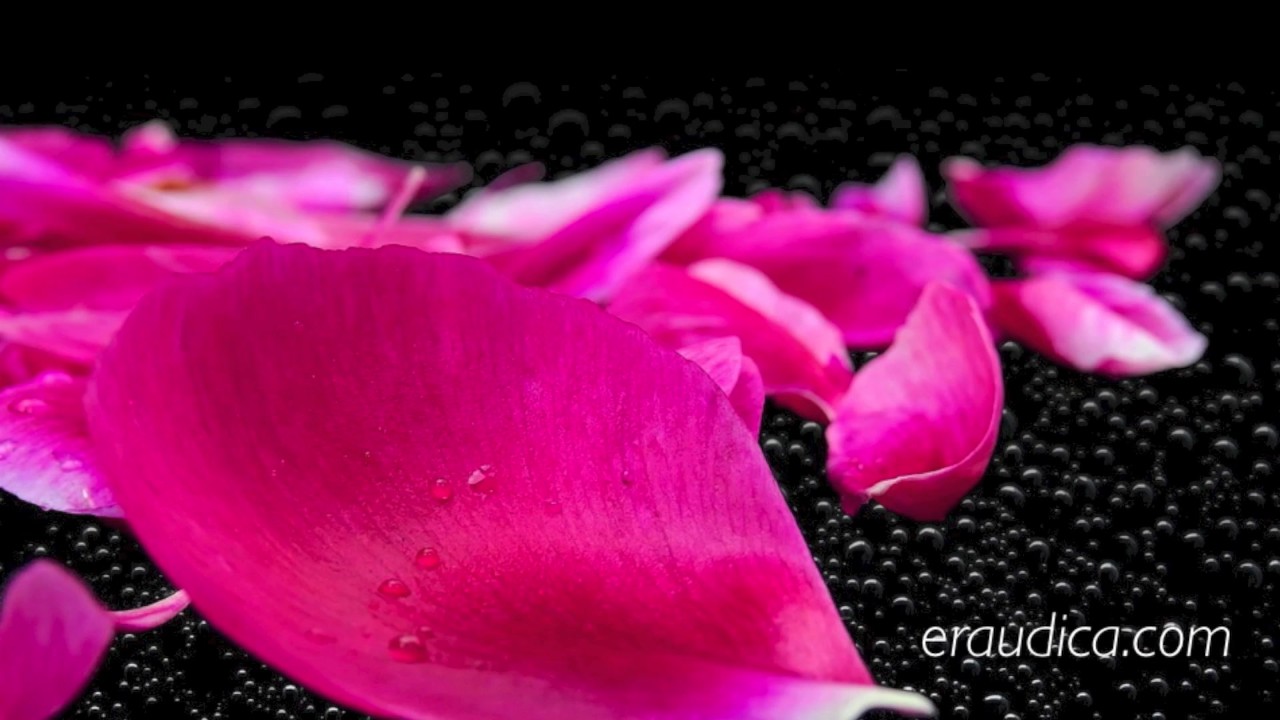 Do You Remember? (What We Were to Each Other) - sensual erotic audio by Eve&apos;s Garden