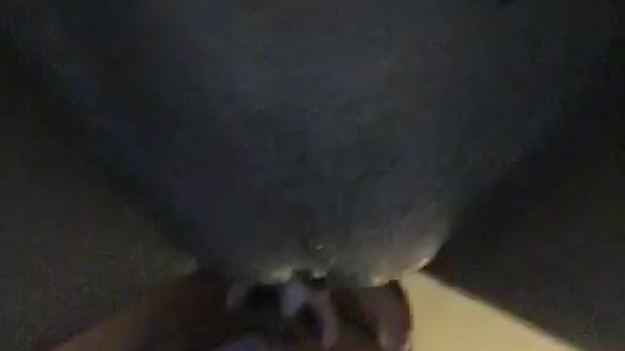 my small fat wet juicy pussy getting sucked!