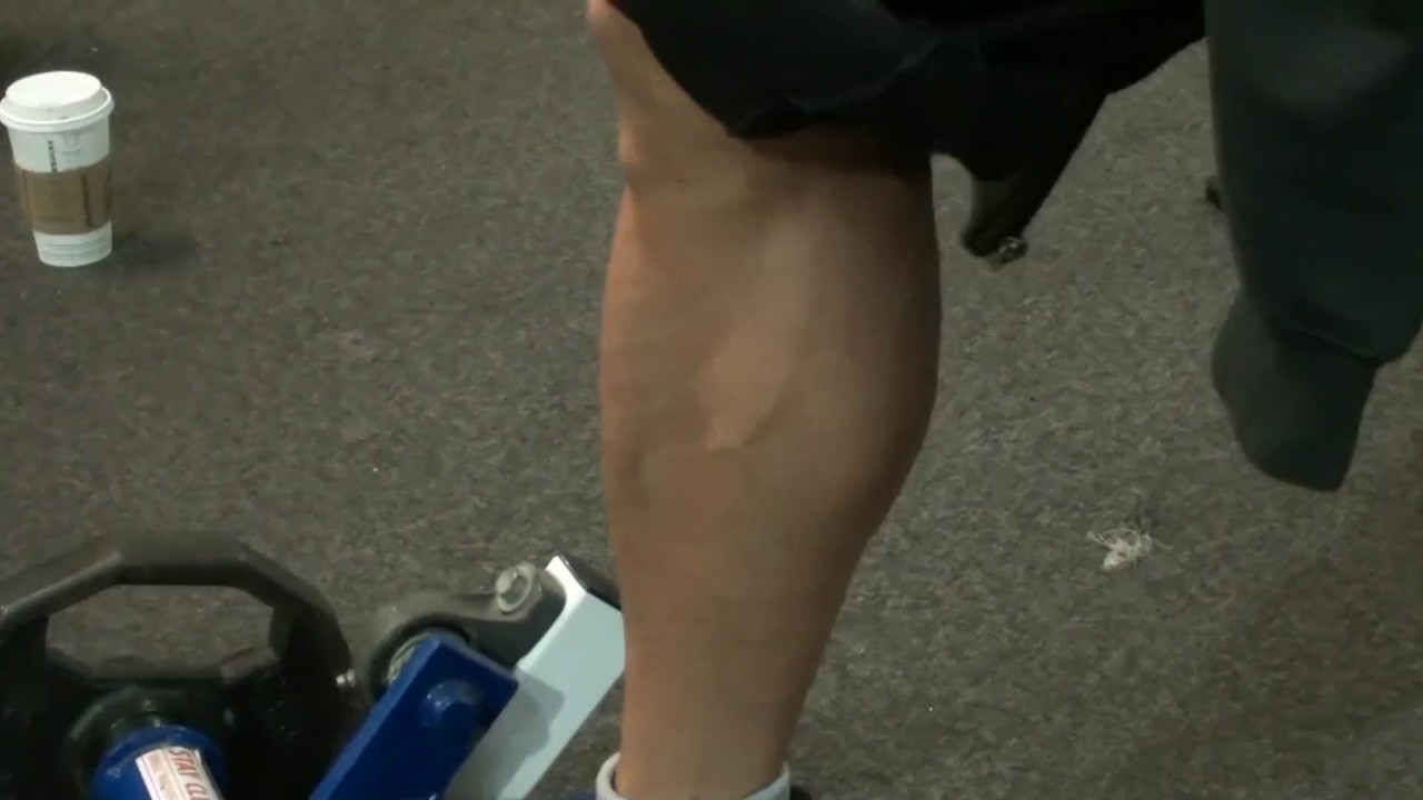 Greatest Female Calves Ever