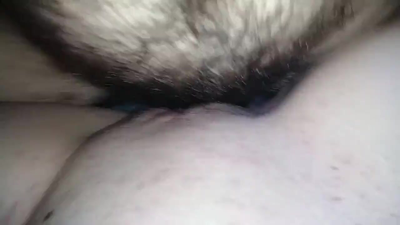 Pregnant Pussy Pov