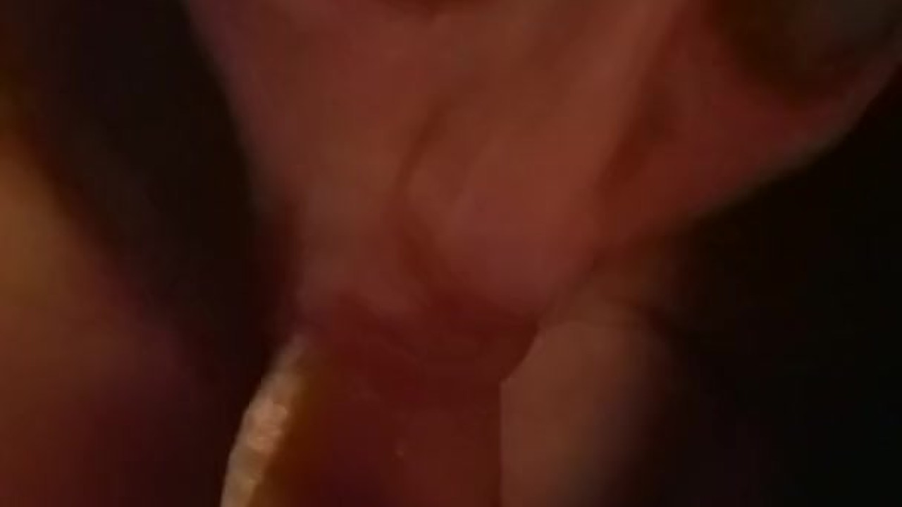 Pov upclose blowjob with cum in mouth with show and licking cum up