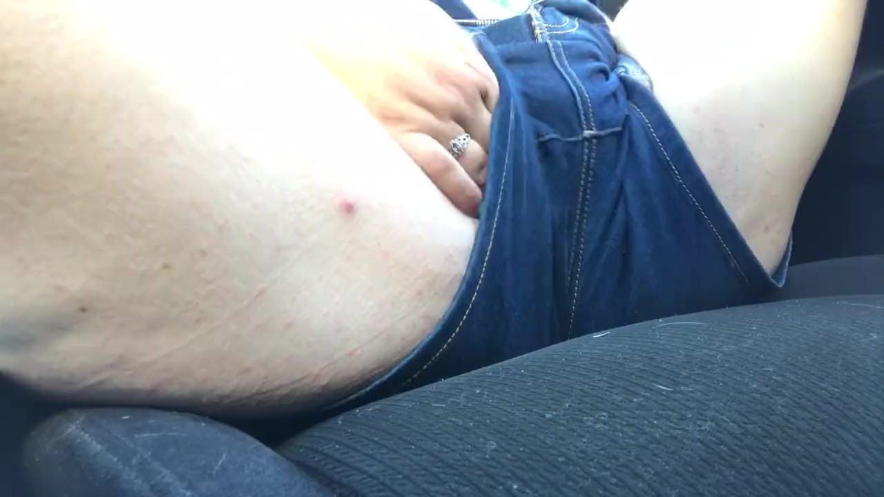 Pussy play in the car