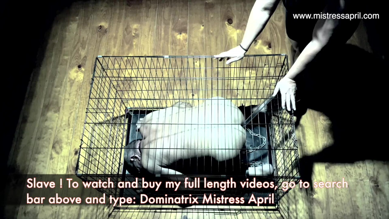 Dominatrix Mistress April - Slave Toilet