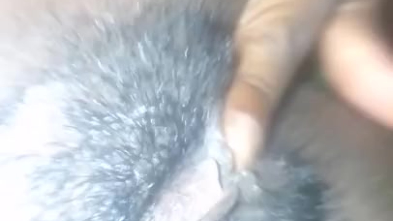 BLACK GIRL GET LICKING FOR THE 1ST TIME