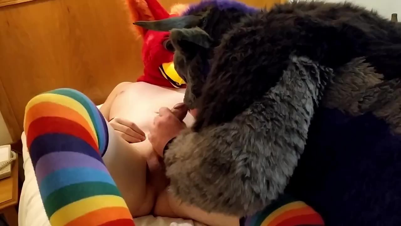 Bull fursuiter sucks off and gets bred by pent up Bird suiter