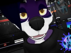 Furry Raccoon Videos and Porn Movies :: PornMD