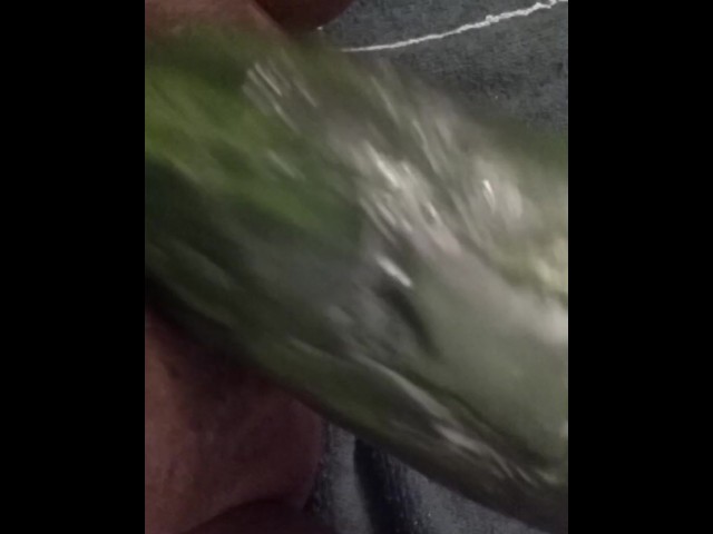 Shoving a Cucumber in My Fat Pussy 
