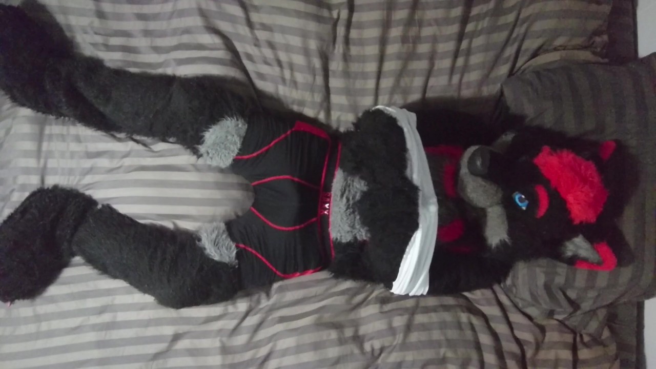 Sexy Fursuit Stripping