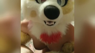 Fursuit Porn - Foxy gets blown by Iliza and takes her for a ride (Fursuit Sex) - Free Porn  Videos - YouPorn