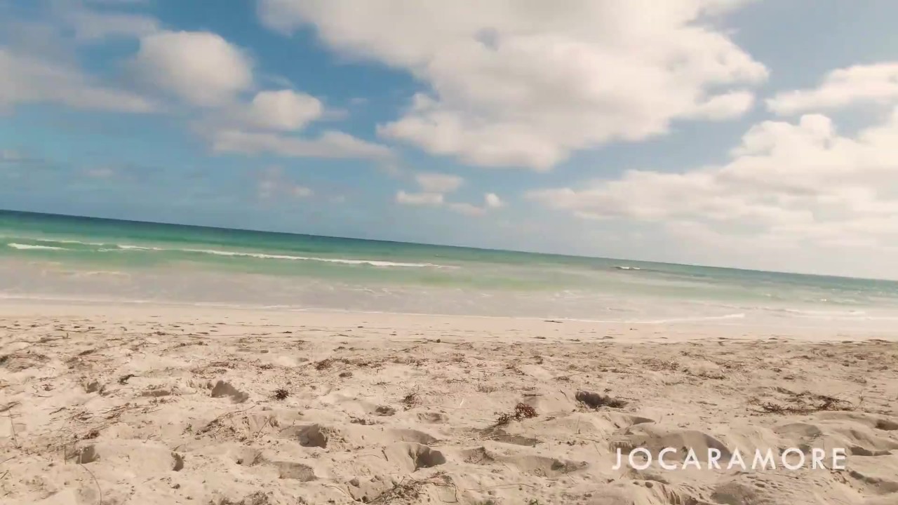 Caribbean Blow Job - Blowjob on the public beach - risky cumshot with people close by - Free Porn  Videos - YouPorn