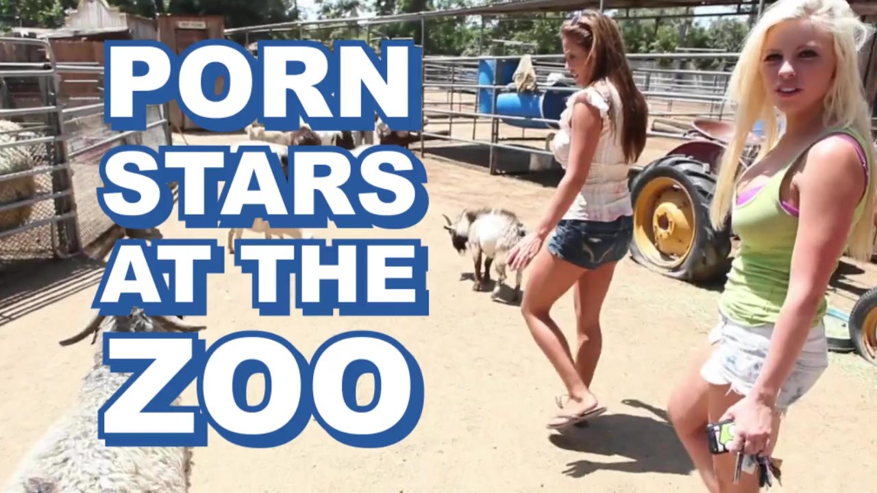 Youporn zoo