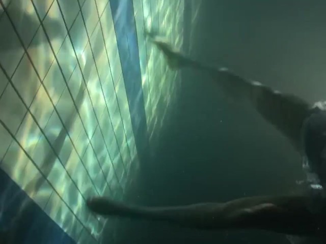 Retro Underwater Swimming Pool Action 