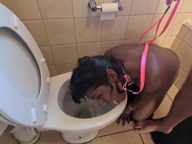 Human Toilet Porn - Human Toilet Indian Whore Get Pissed on and Get Her Head Flushed Followed  by Sucking Dick - Free Porn Videos - YouPorn